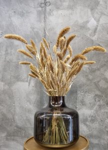 Droogbloemen